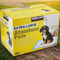 Kirkland Signature Extra-Large Absorbent Puppy Dog Training Pad 100Count 58x76cm